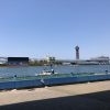 ムツゴロー